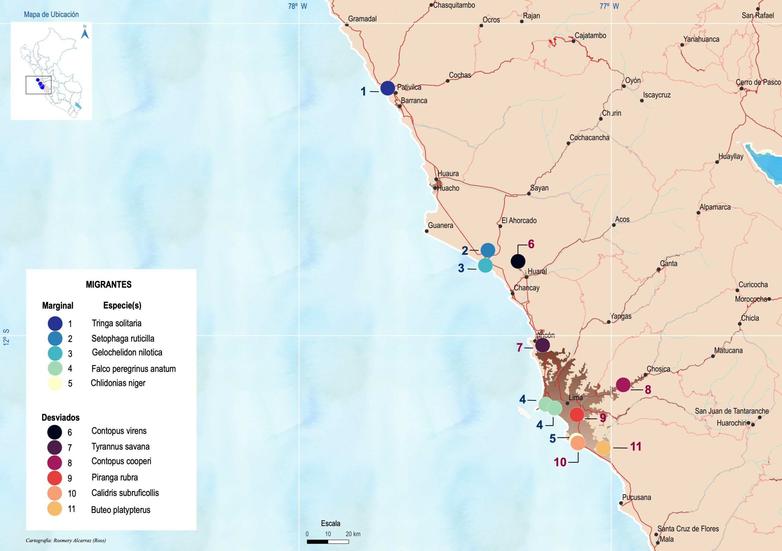 Map

Description automatically generated