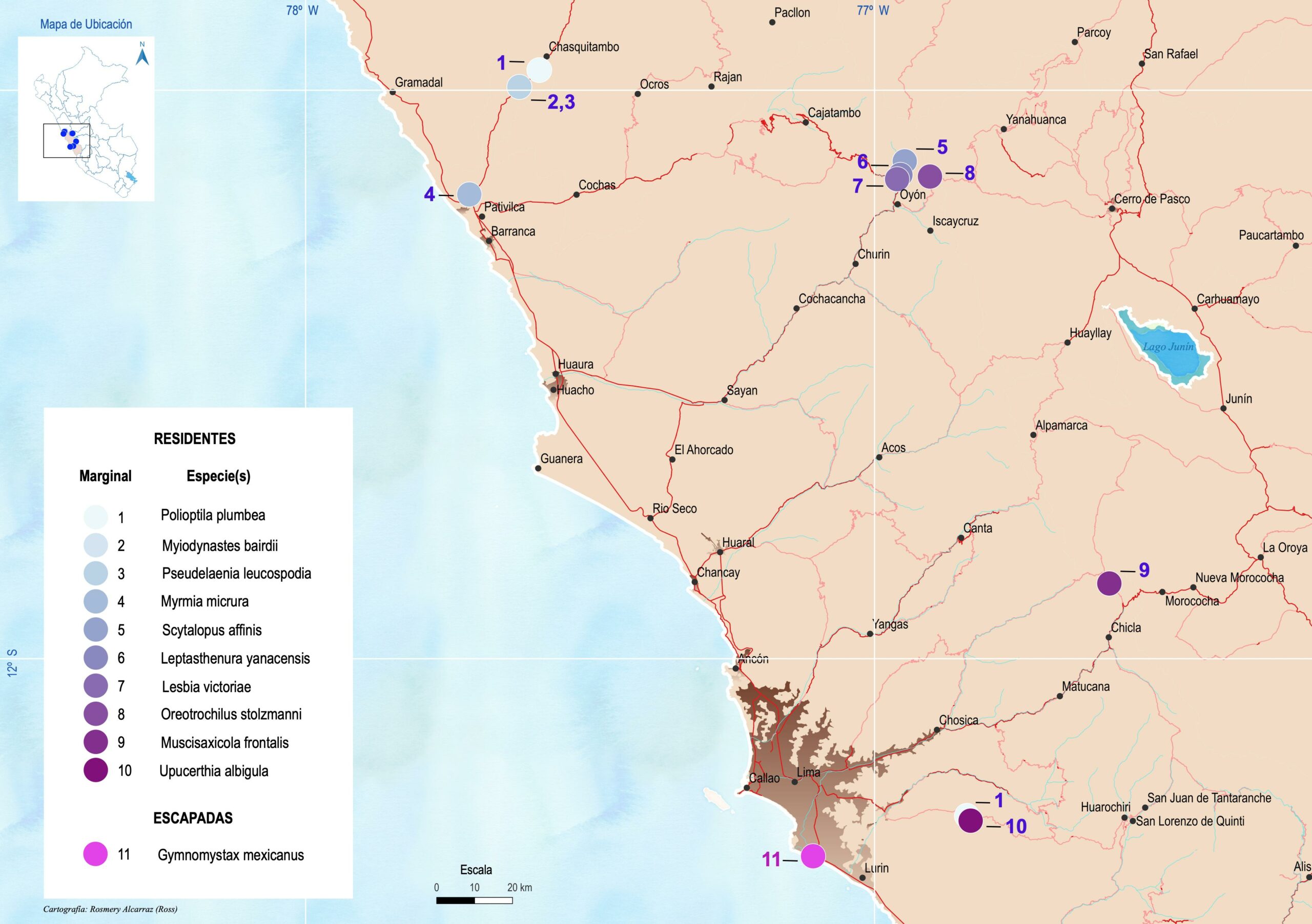 Map

Description automatically generated
